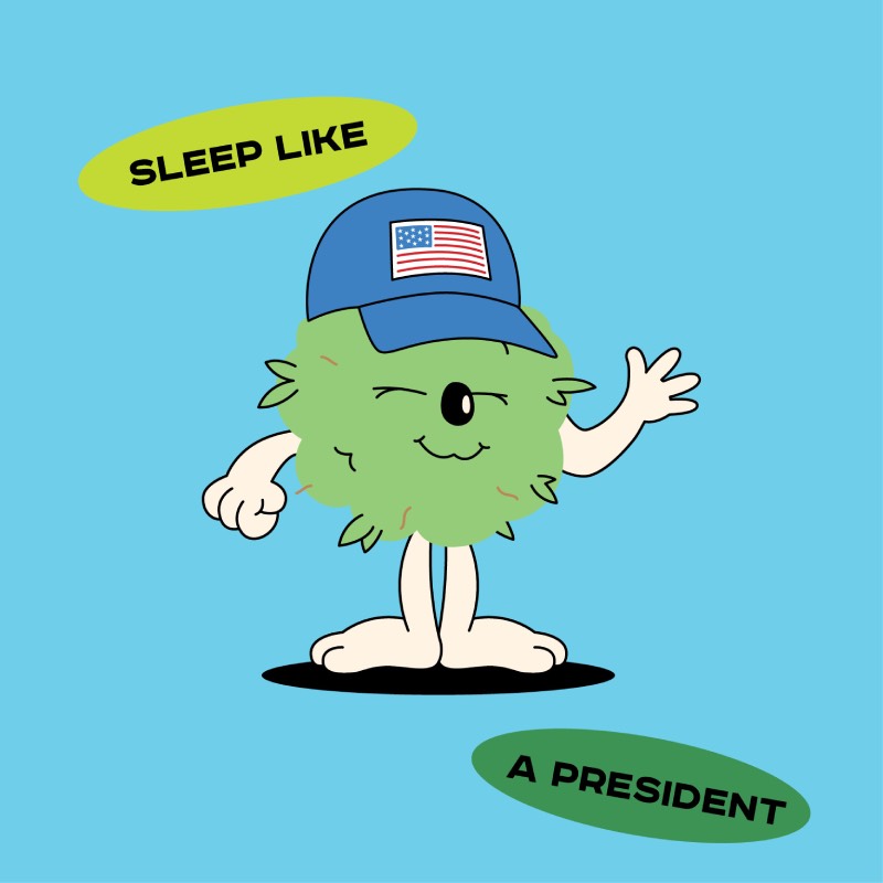 Sleepy Joe hemp flowers - Image 3