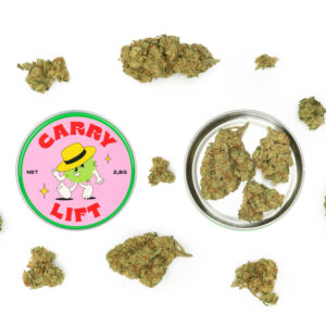 carry lift 1